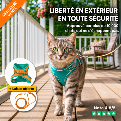 Bloomya® | Harnais Chat Anti-Fugue